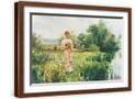 Brown Frame