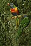 A Pair of Rainbow Lorikeets, 1890-Alfred Brehm-Giclee Print