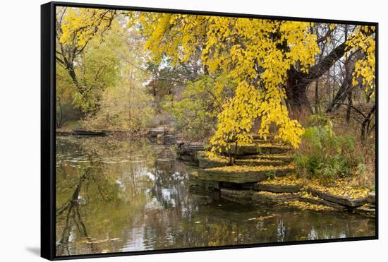 Alfred Caldwell Lily Pond in Chicago's Lincoln Park Area-Alan Klehr-Framed Stretched Canvas