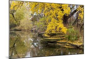 Alfred Caldwell Lily Pond in Chicago's Lincoln Park Area-Alan Klehr-Mounted Photographic Print