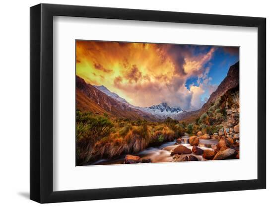 Premium Photographic Print, , large