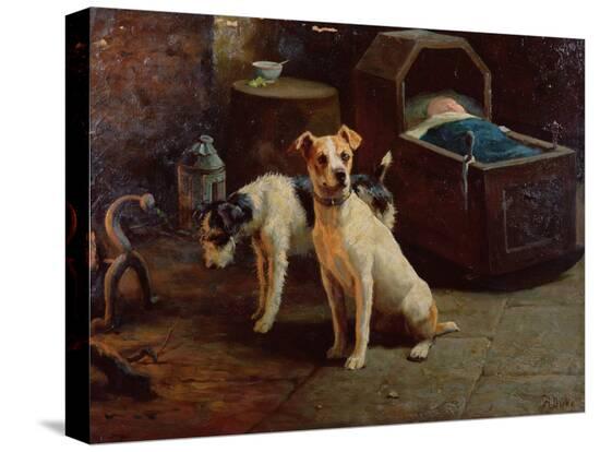 Stretched Canvas Print, , large