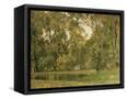 Canvas Black