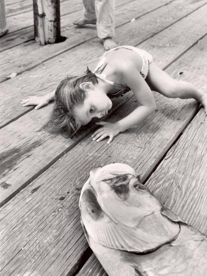 Premium Photographic Print, , large