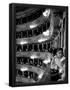 Essential Black