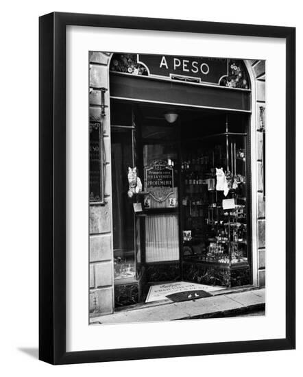 Premium Photographic Print, , large