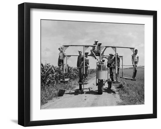 Premium Photographic Print, , large