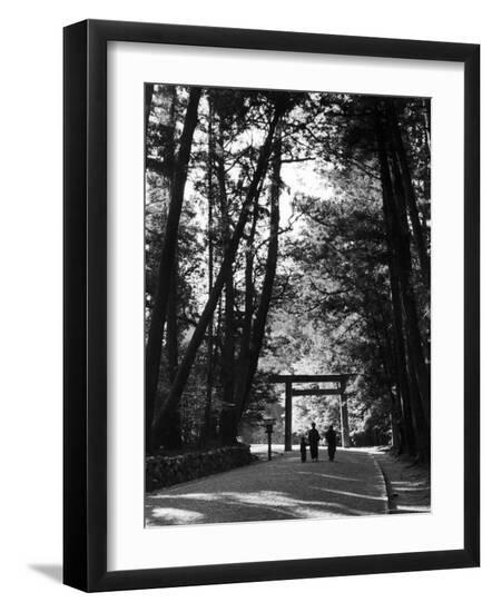 Premium Photographic Print, , large