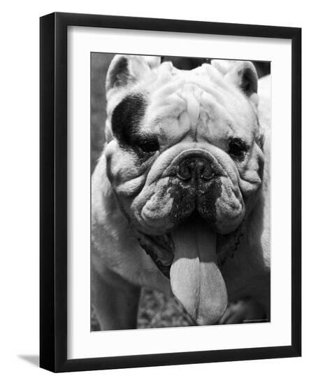 Premium Photographic Print, , large