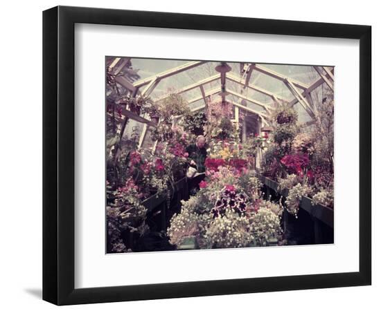 Photographic Print, , large