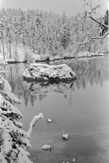 Premium Photographic Print, , large
