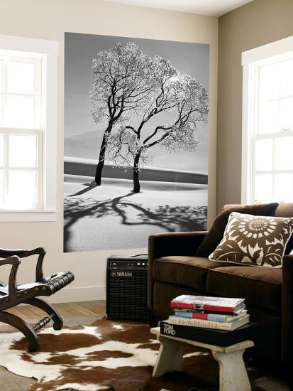 Giant Art Print, , large