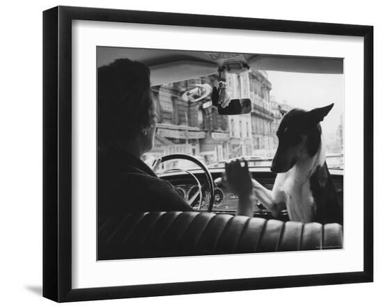 Premium Photographic Print, , large