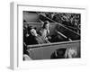 Alfred G. Vanderbilt and Alice G. Preston Sitting in a Grandstand Box at the Santa Anita Racetrack-Rex Hardy Jr.-Framed Premium Photographic Print