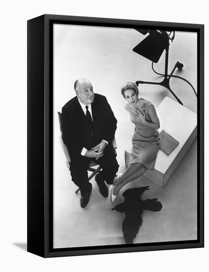 Alfred Hitchcock and Tippi Hedren, photo pour la sortie du fim Les Oiseaux, 1963 (b/w photo)-null-Framed Stretched Canvas