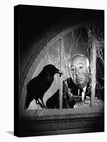 Alfred Hitchcock, photo pour la sortie du fim Les Oiseaux, 1963 (b/w photo)-null-Stretched Canvas