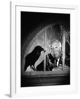 Alfred Hitchcock, photo pour la sortie du fim Les Oiseaux, 1963 (b/w photo)-null-Framed Photo