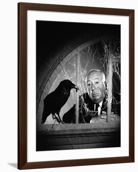 Alfred Hitchcock, photo pour la sortie du fim Les Oiseaux, 1963 (b/w photo)-null-Framed Photo