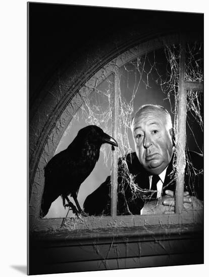 Alfred Hitchcock, photo pour la sortie du fim Les Oiseaux, 1963 (b/w photo)-null-Mounted Photo