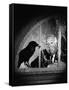 Alfred Hitchcock, photo pour la sortie du fim Les Oiseaux, 1963 (b/w photo)-null-Framed Stretched Canvas