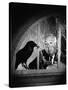 Alfred Hitchcock, photo pour la sortie du fim Les Oiseaux, 1963 (b/w photo)-null-Stretched Canvas