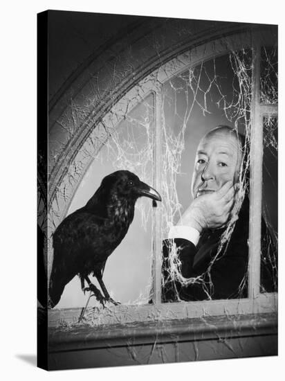 Alfred Hitchcock, photo pour la sortie du fim Les Oiseaux, 1963 (b/w photo)-null-Stretched Canvas