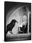 Alfred Hitchcock, photo pour la sortie du fim Les Oiseaux, 1963 (b/w photo)-null-Framed Stretched Canvas