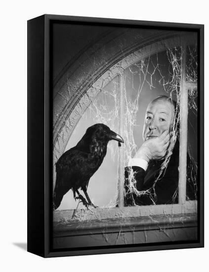 Alfred Hitchcock, photo pour la sortie du fim Les Oiseaux, 1963 (b/w photo)-null-Framed Stretched Canvas