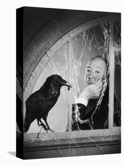 Alfred Hitchcock, photo pour la sortie du fim Les Oiseaux, 1963 (b/w photo)-null-Stretched Canvas