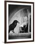 Alfred Hitchcock, photo pour la sortie du fim Les Oiseaux, 1963 (b/w photo)-null-Framed Photo