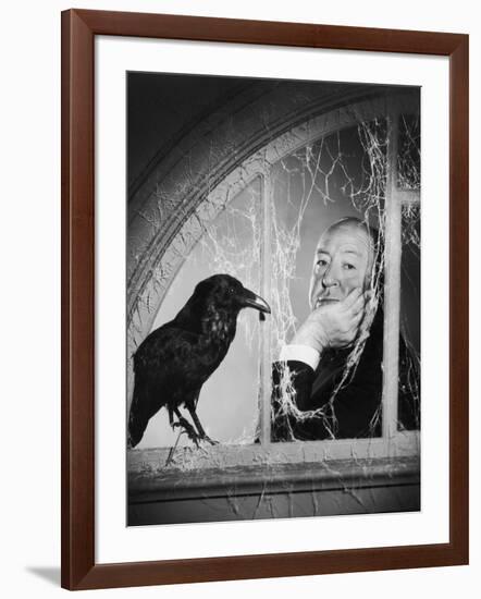 Alfred Hitchcock, photo pour la sortie du fim Les Oiseaux, 1963 (b/w photo)-null-Framed Photo