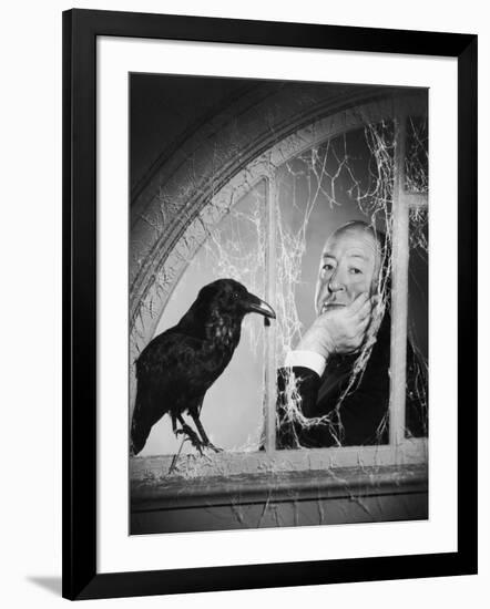 Alfred Hitchcock, photo pour la sortie du fim Les Oiseaux, 1963 (b/w photo)-null-Framed Photo