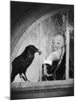 Alfred Hitchcock, photo pour la sortie du fim Les Oiseaux, 1963 (b/w photo)-null-Mounted Photo