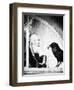 Alfred Hitchcock, The Birds, 1963-null-Framed Premium Photographic Print