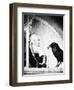 Alfred Hitchcock, The Birds, 1963-null-Framed Photographic Print