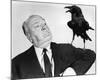 Alfred Hitchcock - The Birds-null-Mounted Photo