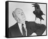 Alfred Hitchcock-null-Framed Stretched Canvas