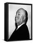 Alfred Hitchcock-null-Framed Stretched Canvas