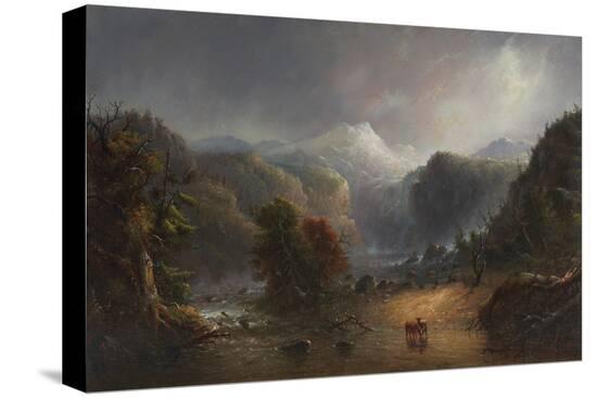 Stretched Canvas Print, , large