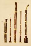 Double Flageolet, German flute, Bass Recorder, Double Flageolet and Recorder, 'Musical Instruments'-Alfred James Hipkins-Giclee Print