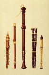 Double Flageolet, German flute, Bass Recorder, Double Flageolet and Recorder, 'Musical Instruments'-Alfred James Hipkins-Giclee Print