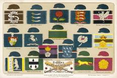 Badges Caps and Colours of English County Cricket Clubs-Alfred Lambert-Stretched Canvas