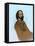 Alfred, Lord Tennyson, English Poet Laureate-Science Source-Framed Stretched Canvas