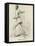 Alfred Mynn, Cricketer-null-Framed Stretched Canvas