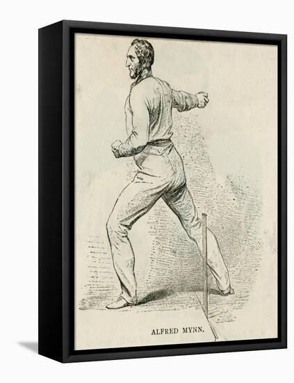 Alfred Mynn, Cricketer-null-Framed Stretched Canvas