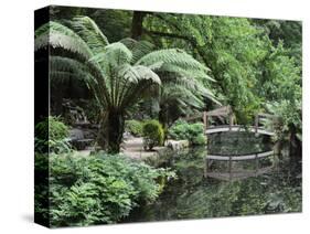 Alfred Nicholas Gardens, Dandenong Ranges National Park, Dandenong Ranges, Victoria, Australia-Jochen Schlenker-Stretched Canvas