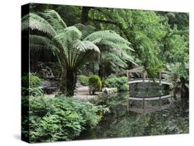 Alfred Nicholas Gardens, Dandenong Ranges National Park, Dandenong Ranges, Victoria, Australia-Jochen Schlenker-Stretched Canvas