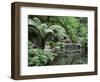 Alfred Nicholas Gardens, Dandenong Ranges National Park, Dandenong Ranges, Victoria, Australia-Jochen Schlenker-Framed Photographic Print