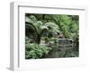 Alfred Nicholas Gardens, Dandenong Ranges National Park, Dandenong Ranges, Victoria, Australia-Jochen Schlenker-Framed Photographic Print