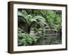 Alfred Nicholas Gardens, Dandenong Ranges National Park, Dandenong Ranges, Victoria, Australia-Jochen Schlenker-Framed Photographic Print